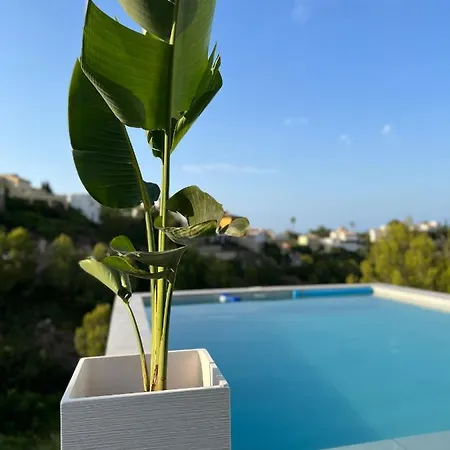 Dmg Dénia