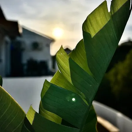 Prázdninový dům Dmg *